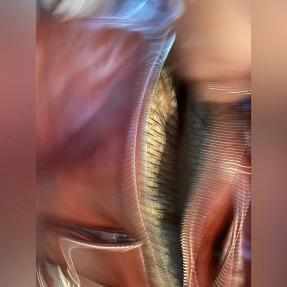 Dior Brown Leather Saddle Bag with Tan Accent - Picture 4 of 10